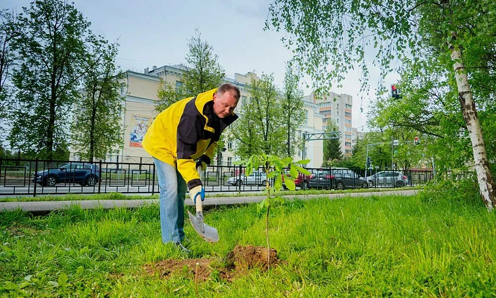 Смоленск жилищник меншутин. Жилищник минщина. Жилищник минщина. Жэу 5 фото герб. Разметка на придомовой территории мкд желтая.