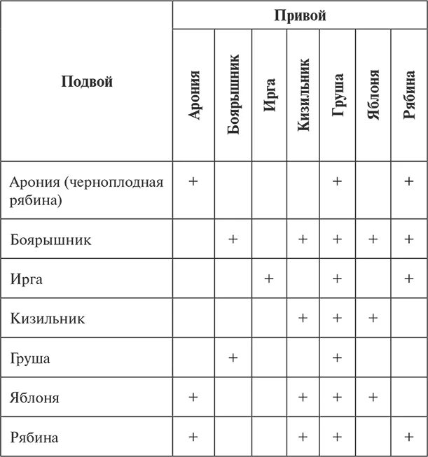 Совместимость вакцин. Таблица совместимости прививки плодовых деревьев. Совместимость привоя и подвоя таблица. Таблица прививок растений. Привой подвой таблица.