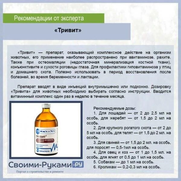 Можно ли дать цыплятам метронидазол