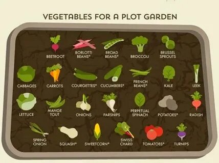 Grow vegetables перевод на русский