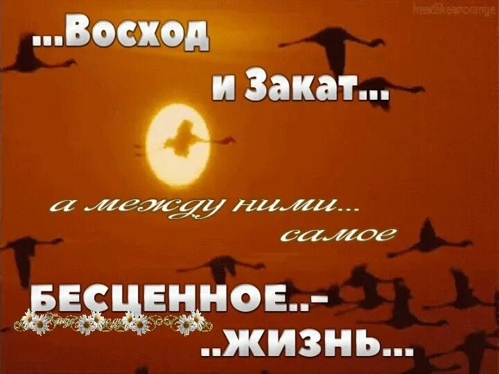 Цитаты про закат. Восход и закат а между ними жизнь. В жизни бесценно каждое мгновенье. Бесценность жизни цитаты.