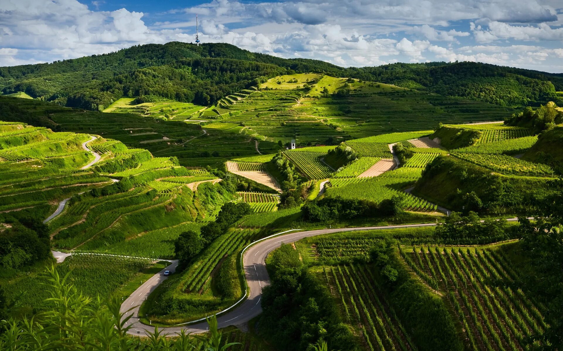 Natural view. Швейцария террасирование big. Азорские острова виноградники. Холмы Британии. Зеленые холмы Англии.