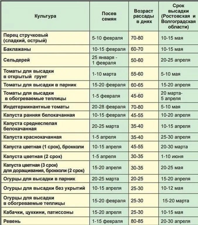 Когда высаживать рассаду огурцов в подмосковье. Сроки высадки семян на рассаду овощей таблица. Сроки высадки рассады овощей в открытый грунт. Сроки высадки семян перца для рассады. Сроки посева семян и высадки в открытый грунт рассады.