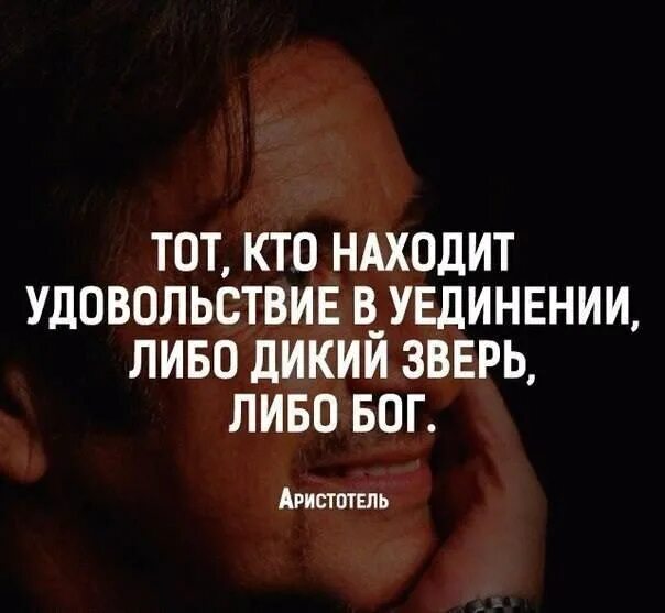 Поиск удовольствия. Либо дикий зверь либо Бог. Тот кто находит удовольствие в уединении либо дикий. Дикая статус. Цитаты либо дикий зверь, либо Бог?.