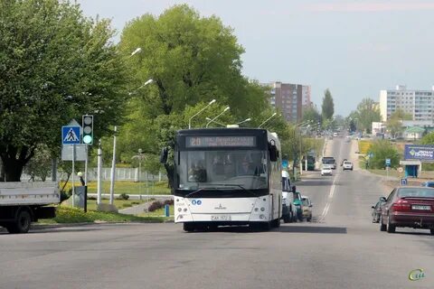 Расписание автобусов мозырь примостовая