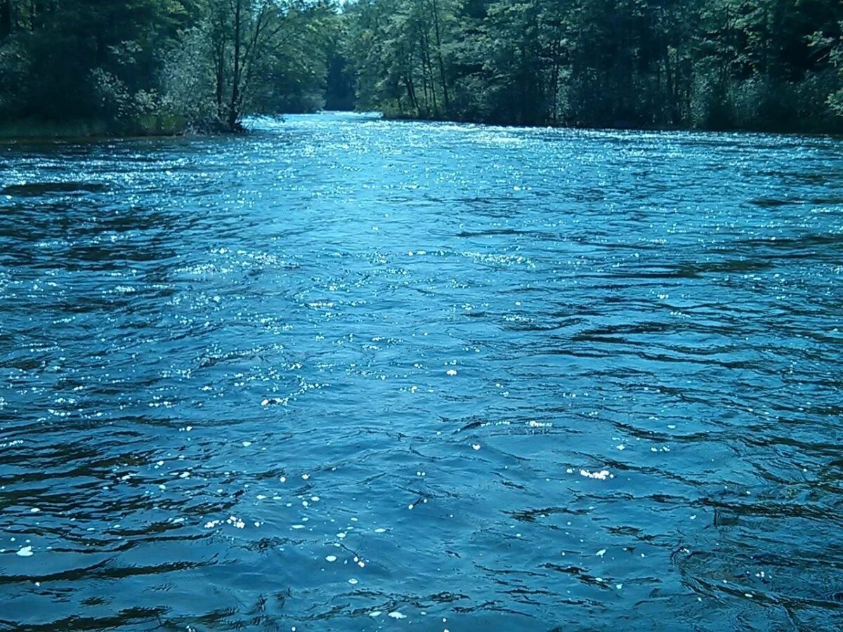 В иных озерах вода. Река Вонча. Река Ривер. Вода река. Чистая река.