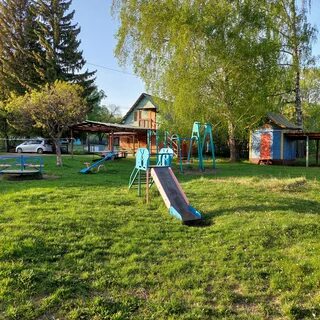Характеристика сорта еланчик