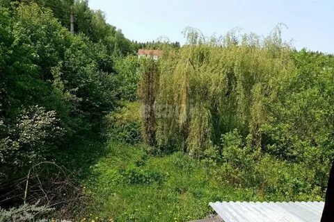 Поселок дом отдыха плесково