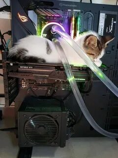 Capcat для компьютера