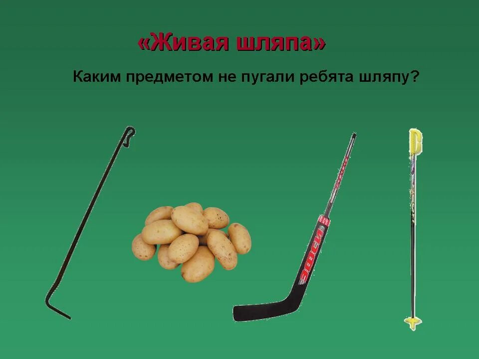 Какой предмет 10 см. Какие предметы ведёт классуха. за каким то предметом. каких предмета всегда 3.