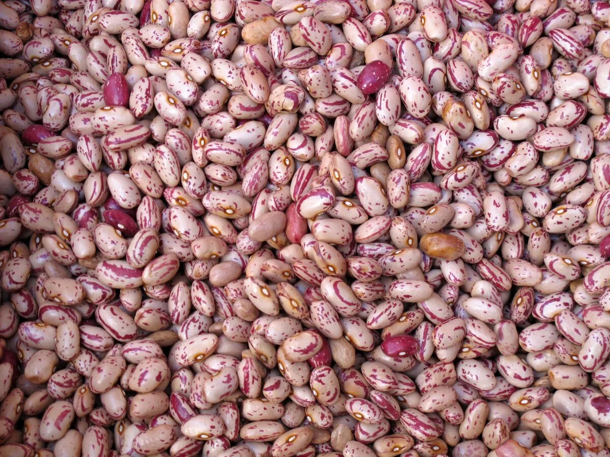 Nested bean