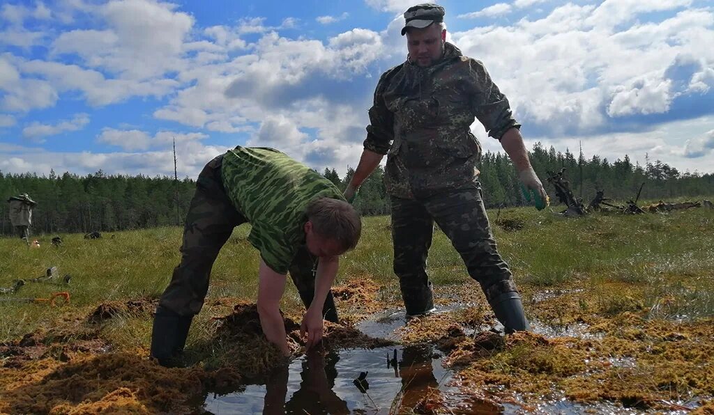 Болотом регистрация. Болото Карелии.