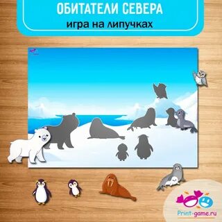 Игра животные севера