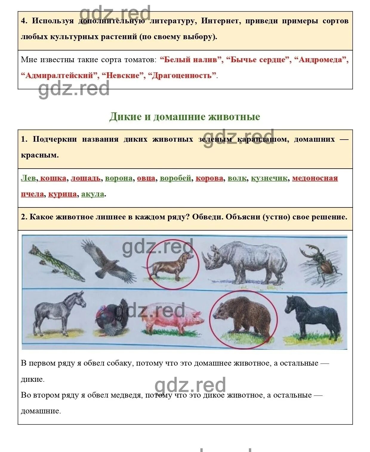 С помощью интернета приведи примеры. Окружающий мир 2 класс рабочая тетрадь. 2 Класс окружающий мир рабочая тетрадь 1 часть ответы страница 50. Домашние животные окружающий мир 2 класс рабочая.