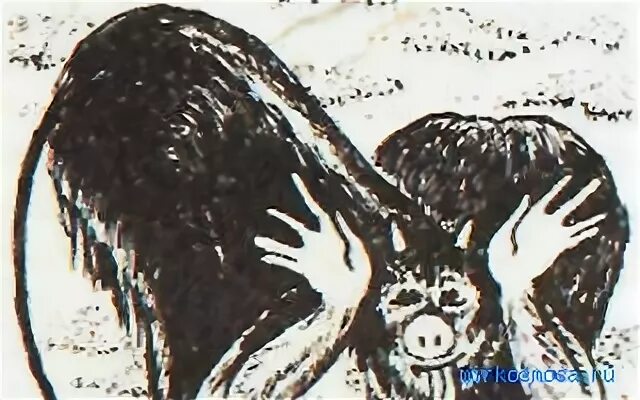 К чему видишь чертей