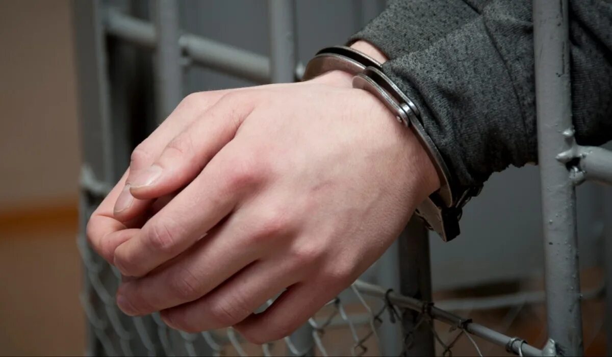 Защита обвиняемого. 2 года лишение свободы. Лишение свободы до 2 лет. Суд тюрьма. 2 года лишения свободы условно с испытательным сроком 1 год.