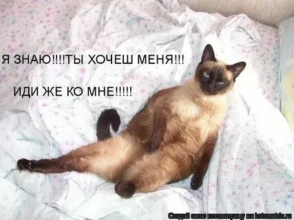 Милая я тебя понял