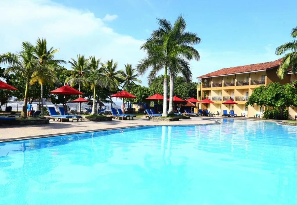 The palms 4 берувела. The palms 4 берувела