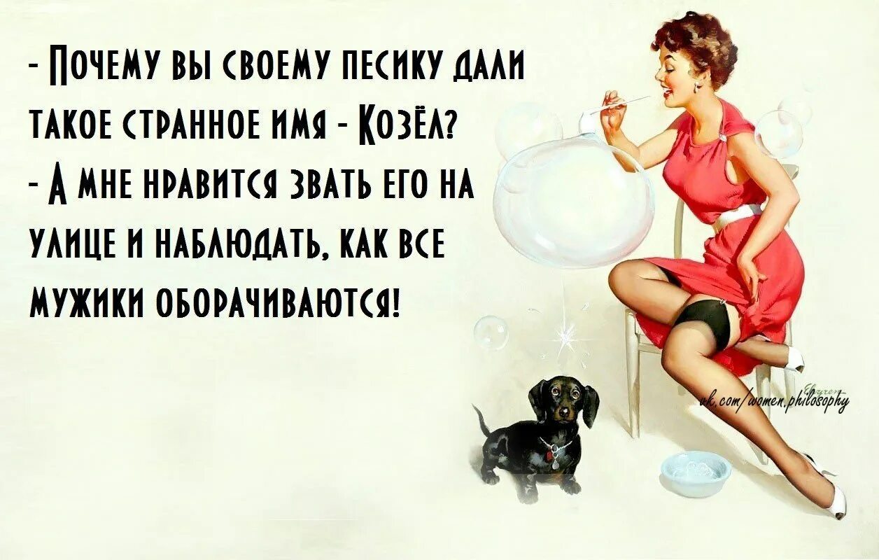Прикольные цитаты про женщин. Пословица баба с возу кобыле легче. Анекдоты про женщин прикольные. Спортивный юмор в картинках. Умные высказывания.