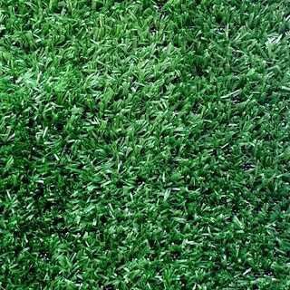 Grass 10