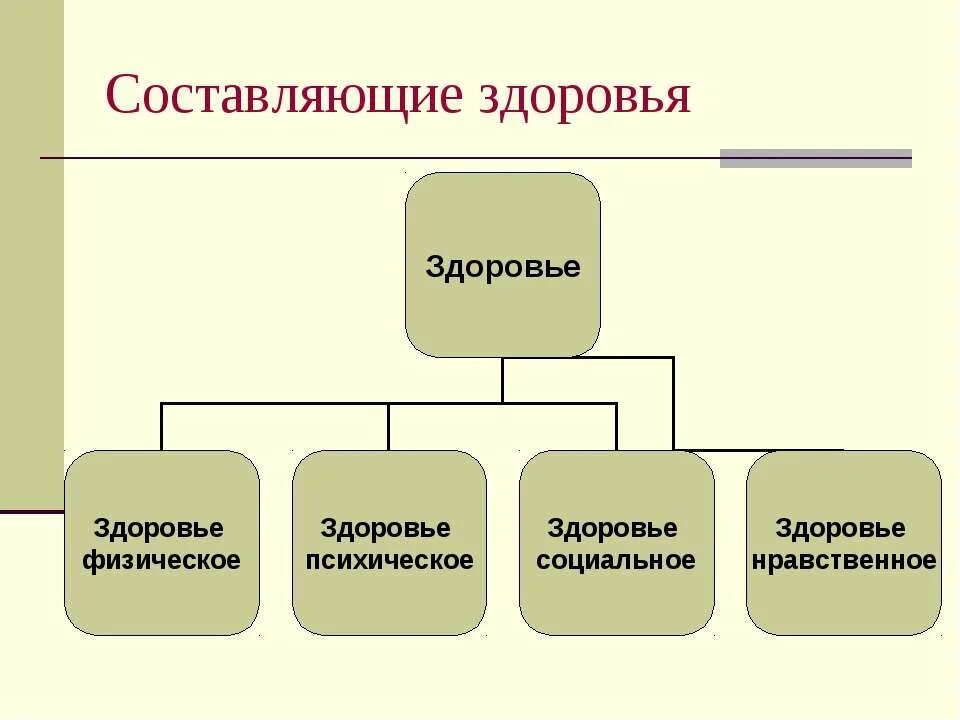 Составляющие здоровья человека таблица. Основные составляющие здоровья. Составляющие физического здоровья. Составляющие здоровья схема.