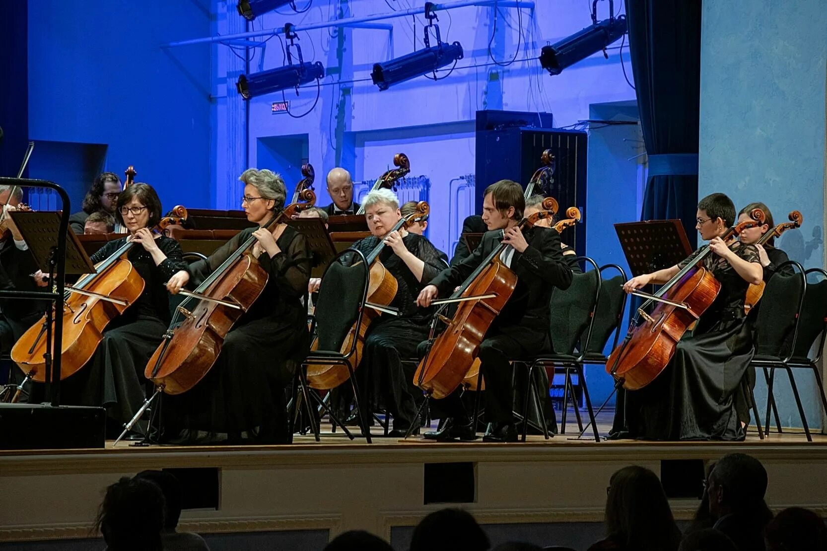 Саммерли. Музыкант 3d модель. Оркестр д. Зауральский симфонический оркестр. Духовный оркестр.
