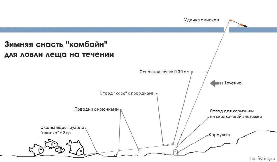 Когда можно ловить на удочку