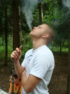 Дента гут кучино