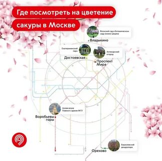 Куда сходить в москве в марте 2024