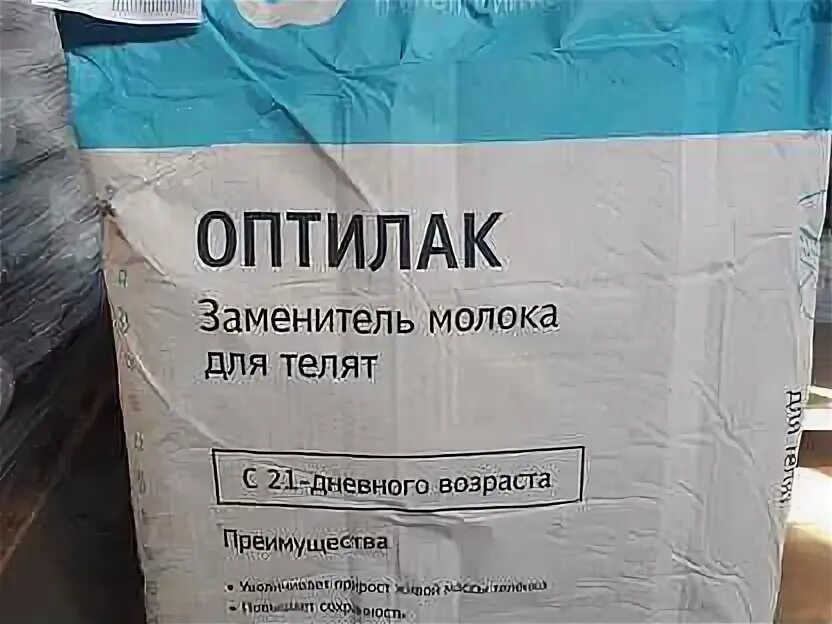 Заменитель свиноматочного молока для поросят. Мустанг молоко. Заменитель цельного молока. Мустанг зцм. Кальвомилк зцм.