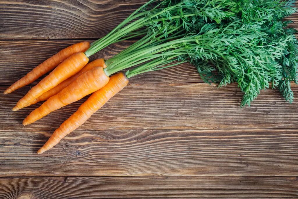 К чему снится морковь свежая. Ботва. Моркови. Ботва. Юкон морковь. Красивая морковь. Морковь с ботвой.