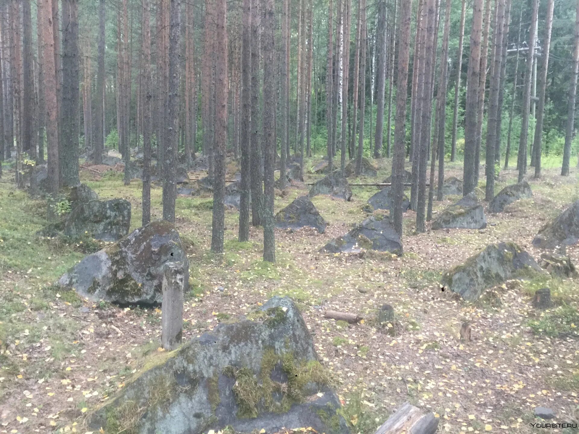 Леший гора. Сортавала гора хийденвуори. Гора паасонвуори сортавала. Гора лешего сортавала. Гора хийденсельга карелия.