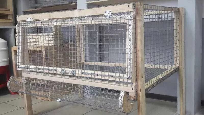 Клетка для 2 кур несушек. Многояросни. Как сделать клетку для несушек. Деревянные клетки для кур несушек. Как сделать клетку для несушек.