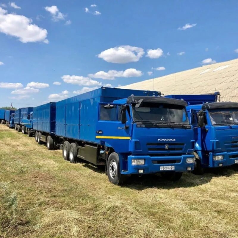 Сайт перевозки зерна