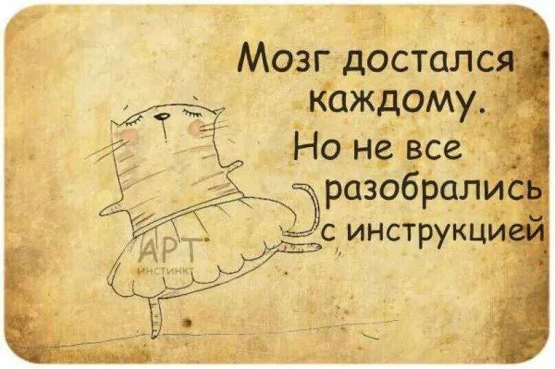 Каждому достанется