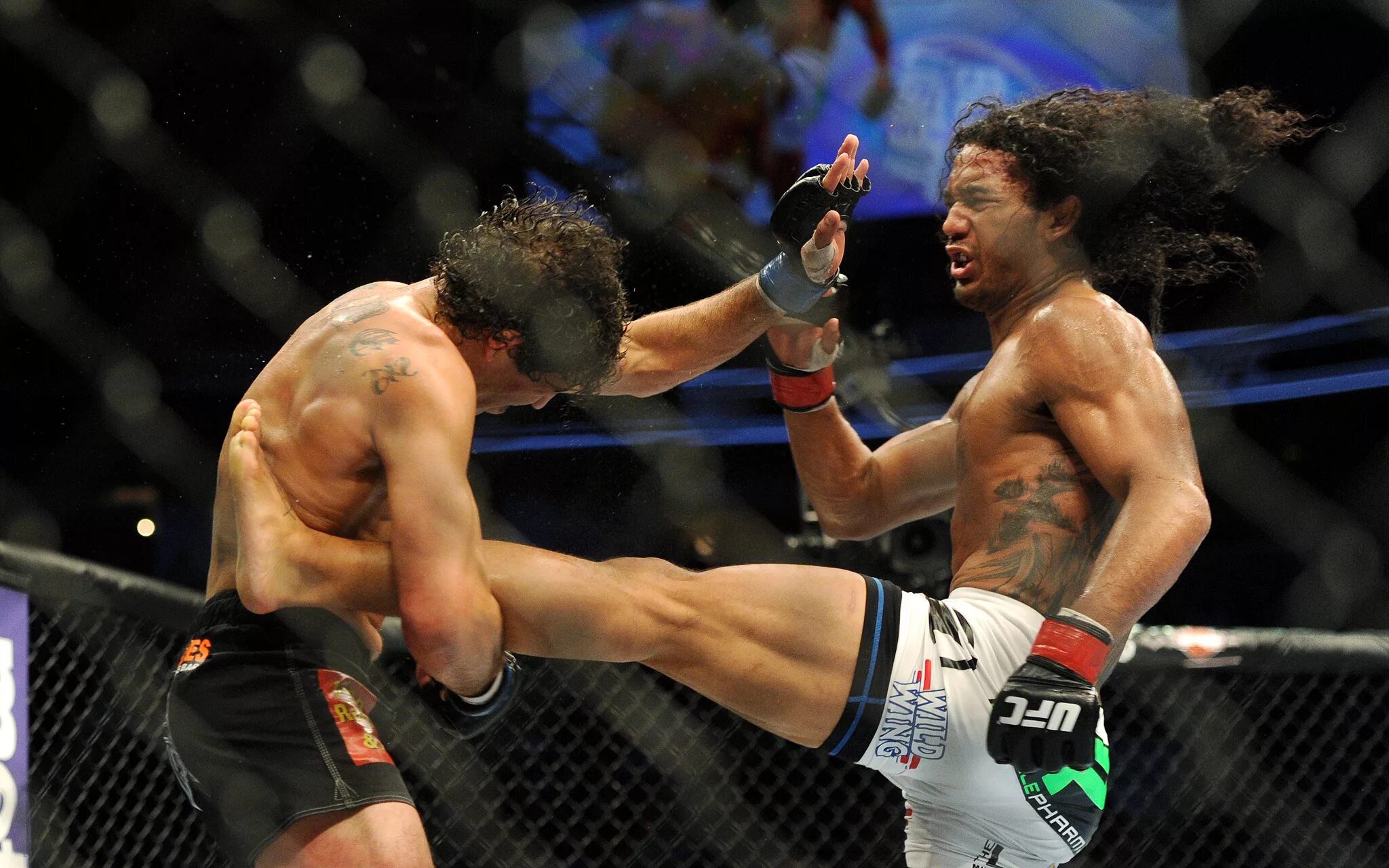 творение хендерсона. творение хендерсона. мост волной. монстер тревел хендерсона. Henderson waves сингапур.