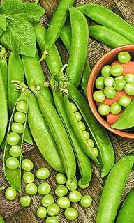 Vegetable pea