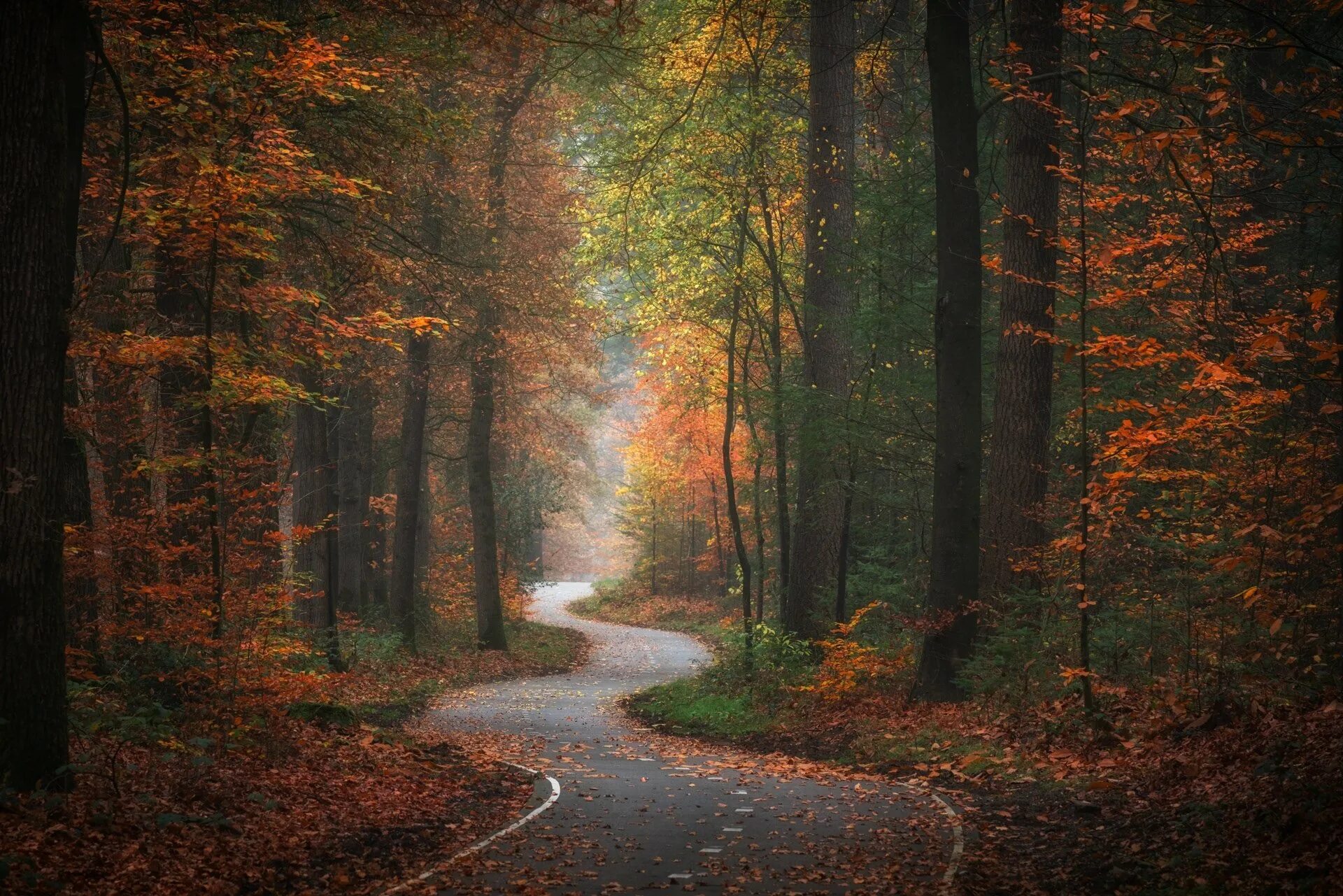 Winding through