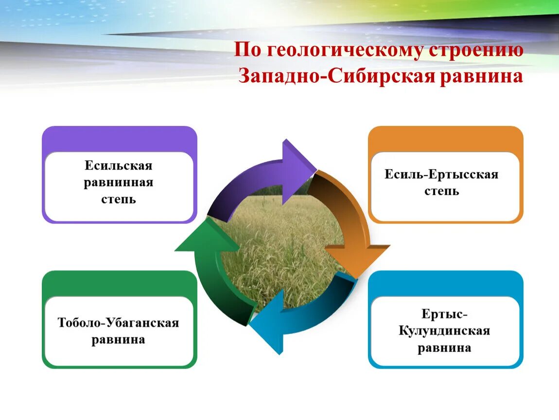 Состав западно сибирской равнины. Геологическая структура Западно сибирской равнины. Геологическое строение Западной Сибири равнины. Особенности геологического строения Западно сибирской равнины. Тип геологической структуры Западно сибирской равнины.