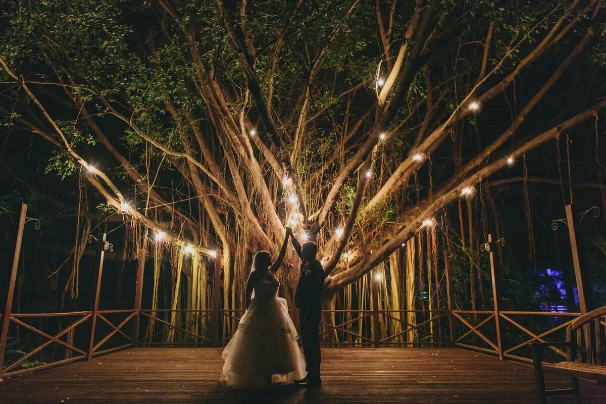 String tree