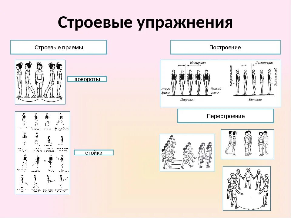 Строевые команды построения перестроения. Блок схема виды строевых упражнений. Построения и перестроения в физкультуре. Строевые упражнения построения и перестроения.