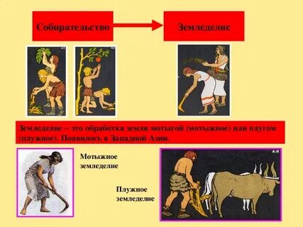 Как появилось земледелие 5 класс