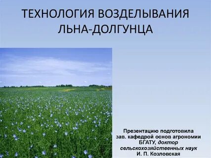 Лен долгунец районы выращивания