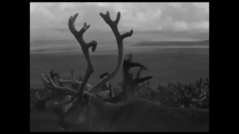 А там за облаками нету ничего песня. Самоцветы там за облаками. самоцветы - там, за облаками обложка альбома. обложка трека группы самоцветы там за облаками. видео самоцветы там за облаками.