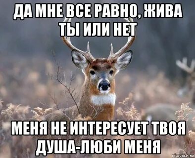 Все равно новая песня