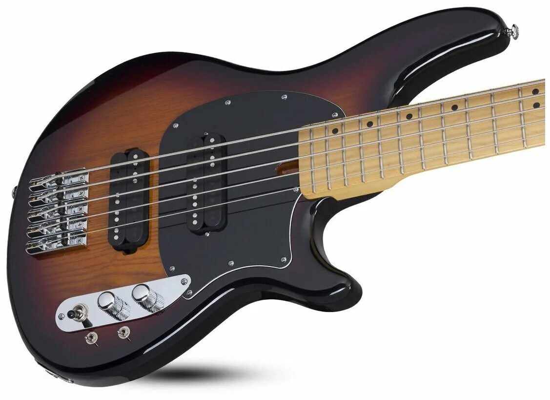 G&l l-2500. Шектер cv5. Испанская пятиструнная гитара. Акустический бас 5 струн. Пятиструнная гитара.