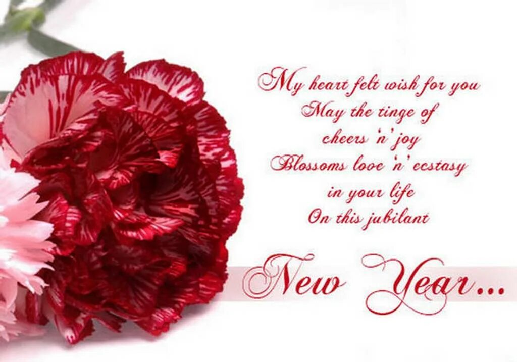 Feel the wish. New year Wishes. Heartfelt Wishes. Best Wishes фон. Happy New year Wishes in English funny.