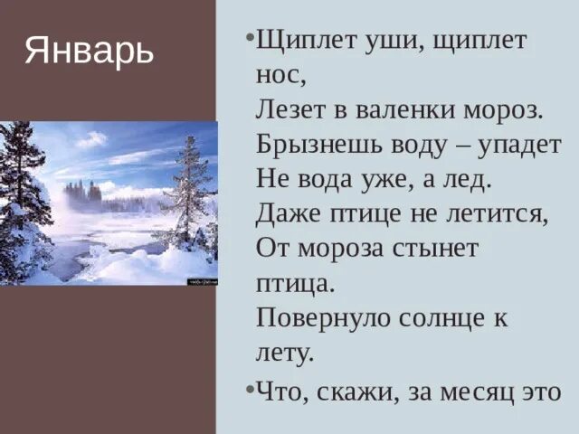 Дед мороз не щипай меня за нос. Мороз щиплет. Щиплет. Стихотворение про январь, щиплет уши,щиплет нос.