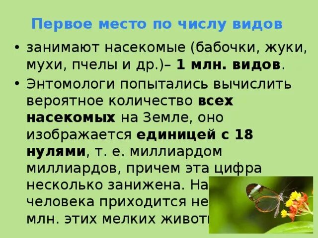 Численность насекомых. Насекомые по числу видов. Численность насекомых на земле. Количество насекомых на земле число.