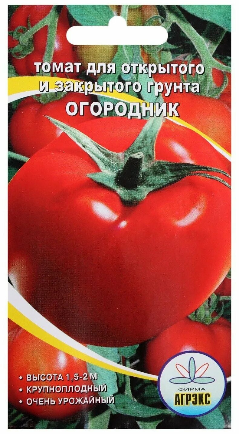 Томат огородник. Томат Гжель. Томат Гжель огородник из Рязани. Купить семена томата огородник